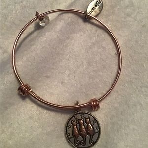 Footnotes Alex and Ani style Bracelet
